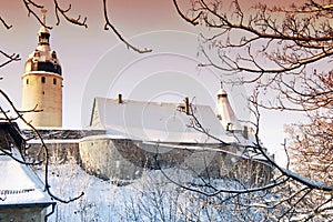 Towers of the castle in Altenburg