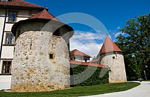 Towers of castle Otocec, Slovenia