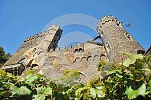 Towers of the Castle Rheinstein