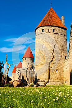 Towers of the city wall in Tallinn