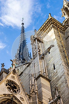 Towers and gargoyles of Notre Dame