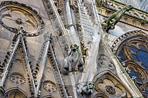 Towers and gargoyles of Notre Dame