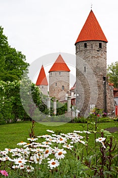 Towers of Tallinn. Estonia