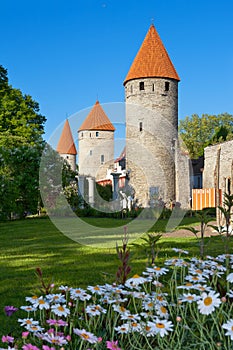 Towers of Tallinn. Estonia