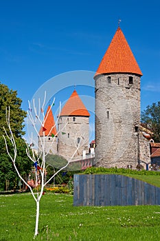 Towers of Tallinn. Estonia