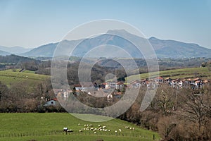 Town of Ainhoa in the Basque Country with flocks of sheep in the pasture