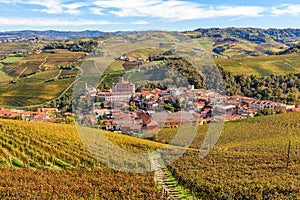 Town of Barolo among vineyards in Italy.