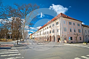 Town of Bjelovar architecture street view