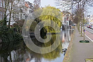 Town Canal Mauritskade, the Hague, Den Haag, the Netherlands