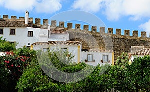 Town within castle walls, Obidos, Portugal