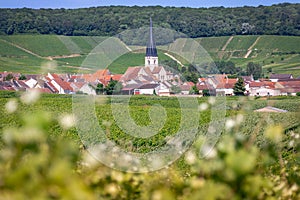 Chameny, France - The Town of Chameny, Set amidst the Vineyards on Hillsides of Champagne photo