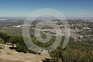 Town in the countryside of andalucia, surrounded by olive trees, extra virgin olive oil tree photo