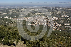 Town in the countryside of andalucia, surrounded by olive trees, extra virgin olive oil tree photo