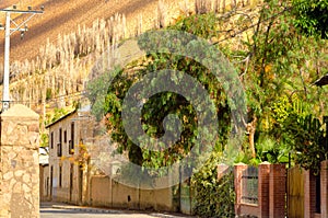 Town in Elqui Valley