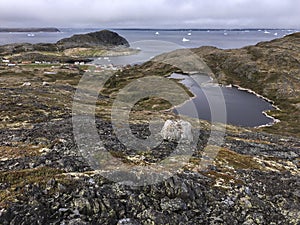 Town of Fogo and icebergs, Newfoundland