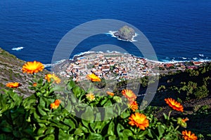 Town Garachico, Island Tenerife, Canary Islands, Spain, Europe photo