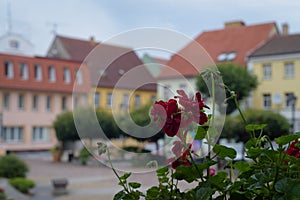 CITYSCAPE POLCZYN ZDROJ