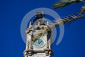 Town Hall building clock tower behind tree branches