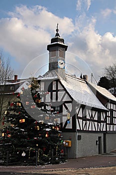 Town Hall and Christmas tree