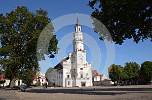 Architecture in Lithuania - Kaunas Town hall is called `The white swan`