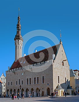 Town Hall and Town Hall Square of Tallinn, capital of Estonia. At the town hall flying the flag of Estonia and flag of