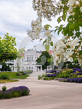 Town Hall of Tulln at the Danube in Lower Austria