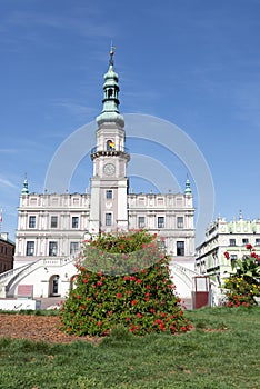 Town hall in Zamosc, Poland