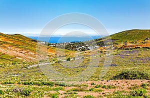 Town Haria, Island Lanzarote, Canary Islands, Spain, Europe