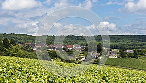 Hautvillers Champagne photo