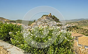 The town and hilltop of Montefrio, Spain peaks above white roadside flowers