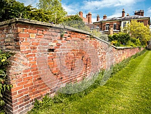 Town House Walled Garden