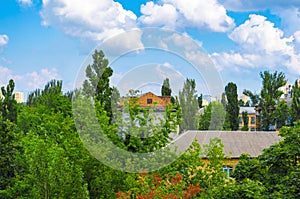 Town houses buried in verdure trees.