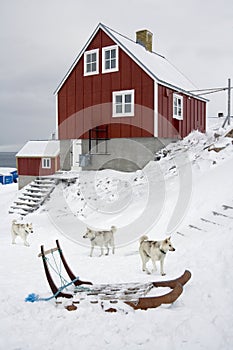 Town of Ittoqqortoormiit at entrance to Scoresbysund - Greenland photo