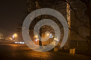 Town in the night in fog with christmas decoration.