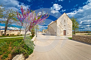 Town of Nin old stone street springtime view