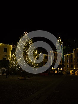 The town of Portofino.