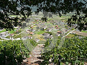 Town of saillon view from vineyards switzerland