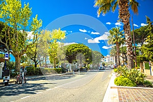 Town of Sainte Maxime palm street view photo