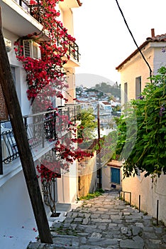 Town Skyathos