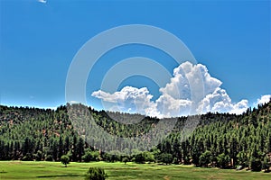 Town of Star Valley, Gila County, Arizona, United States, Tonto National Forest