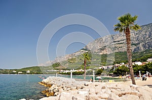 Town Tucepi with sea, palm tree, stones in front and mountain Biokovo in background