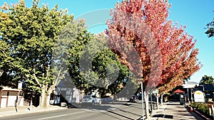 Town View @ Hahndorf Australia