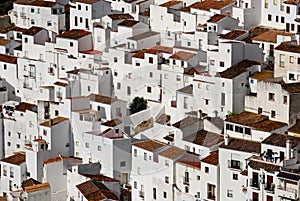 Townhouses Casares