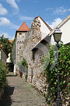 Townwalls Walk