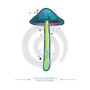 Toxic fantasy psilocybin mushroom. Drawing of magical surreal hallucinogenic mushroom. Hand drawn toadstool concept