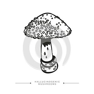 Toxic Fantasy Pslocybin Mushroom. Black and white drawing of a magical surreal hallucinogenic mushroom. Vector illustration