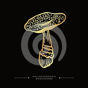Toxic Fantasy Pslocybin Mushroom. Hand drawn toadstool concept. Golden drawing of magical surreal hallucinogenic mushroom. Fly