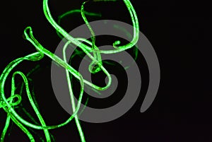 Toxic green lime lighting with a specific pattern. Woven filaments, cable, wires with outgoing light. Neon electroluminescent wire