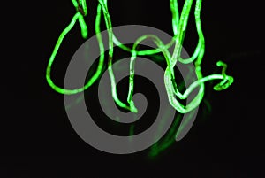 Toxic green lime lighting with a specific pattern. Woven filaments, cable, wires with outgoing light. Neon electroluminescent wire