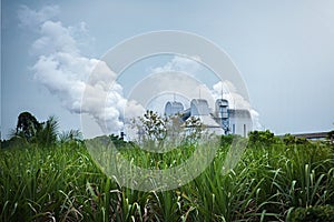 Toxic smoke from Sugar cane factory